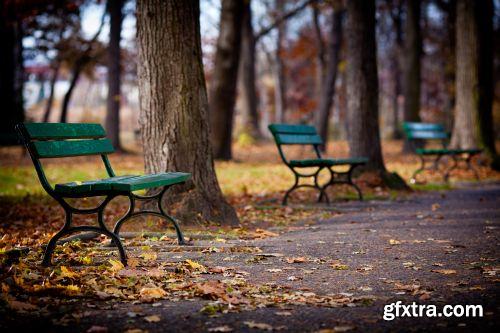 Autumn is Coming #3, 25xJPG