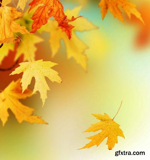 Autumn is Coming #3, 25xJPG