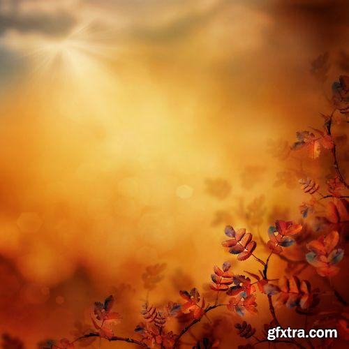 Autumn is Coming #3, 25xJPG