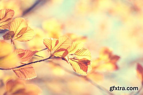 Autumn is Coming #3, 25xJPG