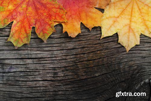 Autumn is Coming #3, 25xJPG