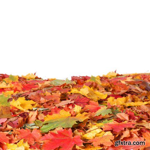 Autumn is Coming #3, 25xJPG