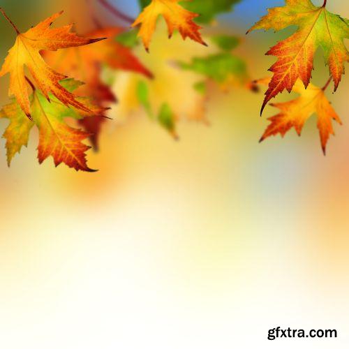 Autumn is Coming #3, 25xJPG