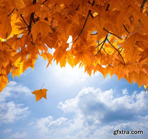 Autumn is Coming #3, 25xJPG