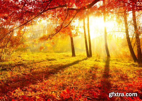 Autumn is Coming #3, 25xJPG