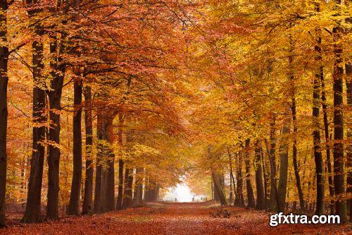 Autumn is Coming #3, 25xJPG