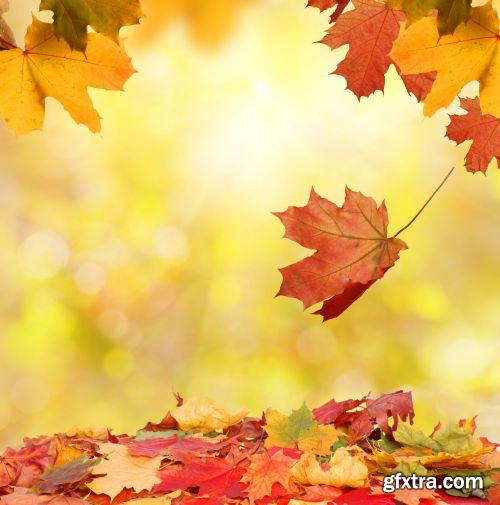 Autumn is Coming #3, 25xJPG