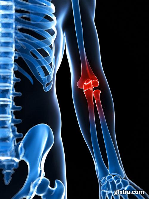 Human organism 25 UHQ