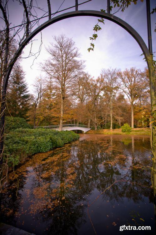 The Colour Of Autumn 25xJPG