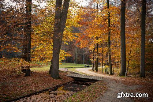 The Colour Of Autumn 25xJPG