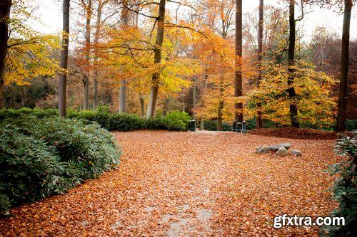 The Colour Of Autumn 25xJPG