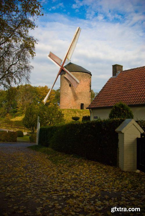 The Colour Of Autumn 25xJPG