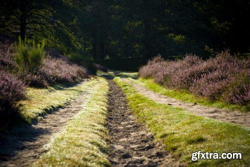 The Colour Of Autumn 25xJPG