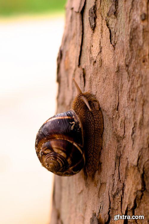 The Colour Of Autumn 25xJPG