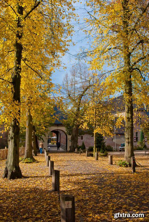 The Colour Of Autumn 25xJPG