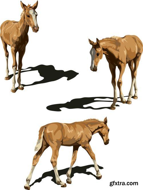 Amazing Horses 31xEPS