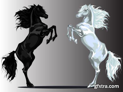 Amazing Horses 31xEPS