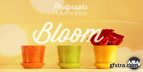 Videohive Photographs and Memories Bloom