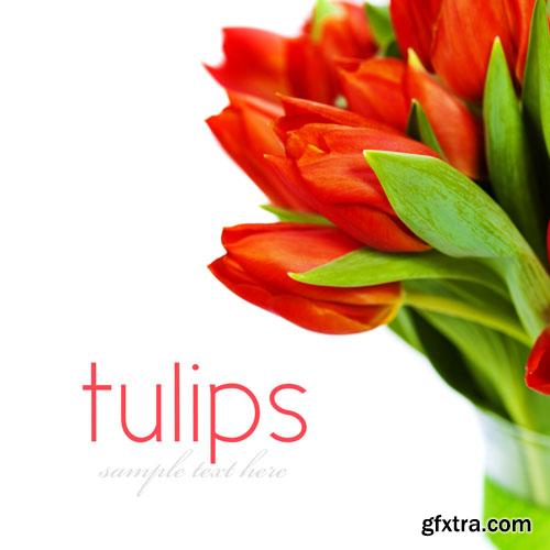 Beautiful templates 25xUHQ