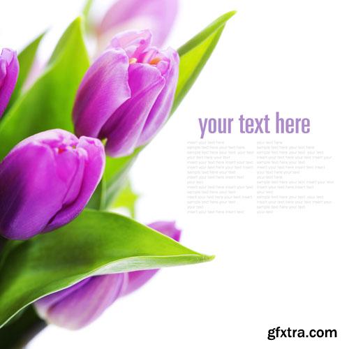 Beautiful templates 25xUHQ