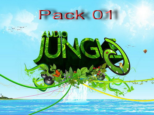 AudioJungle Pack 01 (AudioJungle)