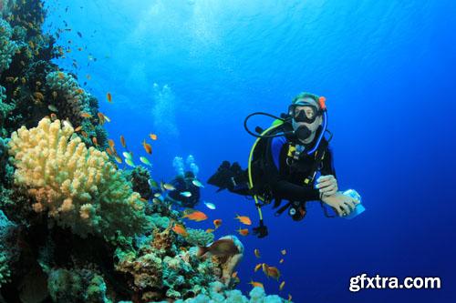 Diving Collection, 25 UHQ JPEG