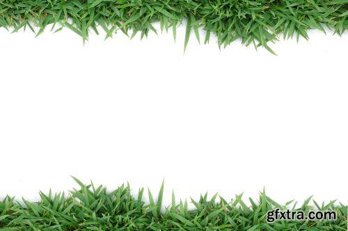 Grass on White Background 25xJPG Grass on White Background 25xJPG