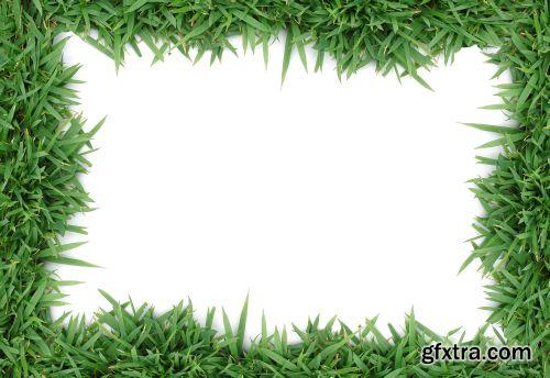 Grass on White Background 25xJPG Grass on White Background 25xJPG