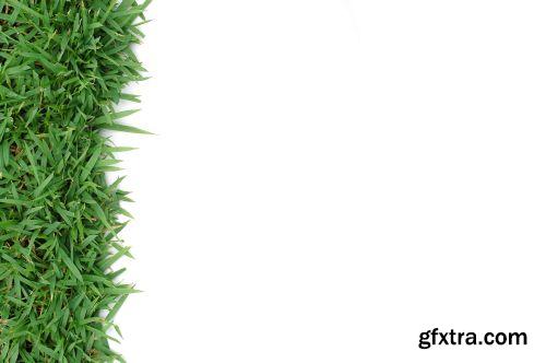 Grass on White Background 25xJPG Grass on White Background 25xJPG