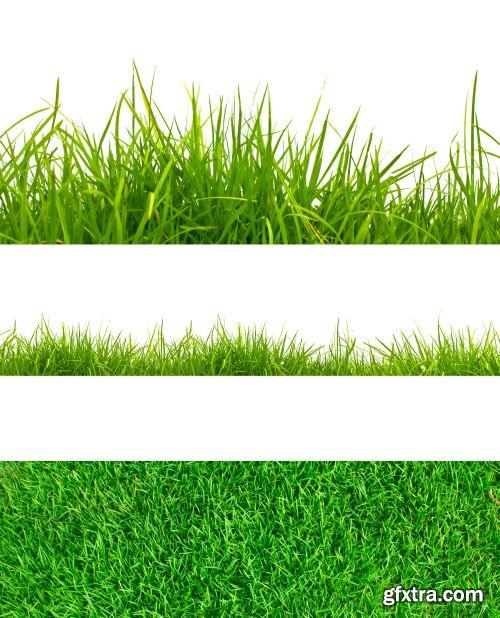 Grass on White Background 25xJPG Grass on White Background 25xJPG