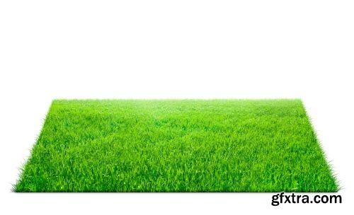 Grass on White Background 25xJPG Grass on White Background 25xJPG
