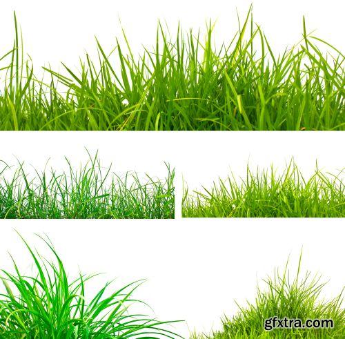 Grass on White Background 25xJPG Grass on White Background 25xJPG