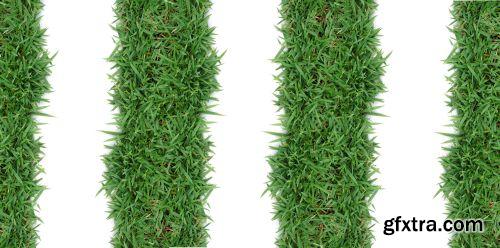 Grass on White Background 25xJPG Grass on White Background 25xJPG