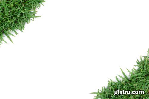 Grass on White Background 25xJPG Grass on White Background 25xJPG