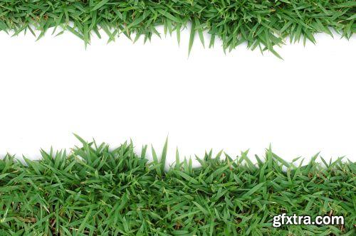 Grass on White Background 25xJPG Grass on White Background 25xJPG