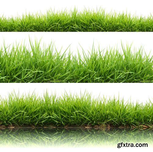 Grass on White Background 25xJPG Grass on White Background 25xJPG