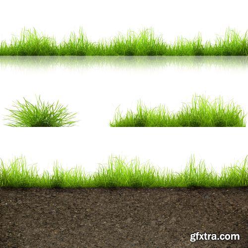 Grass on White Background 25xJPG Grass on White Background 25xJPG