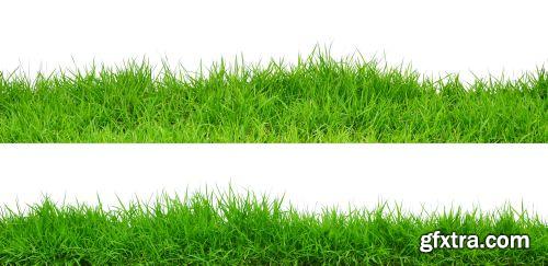 Grass on White Background 25xJPG Grass on White Background 25xJPG