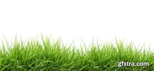Grass on White Background 25xJPG Grass on White Background 25xJPG