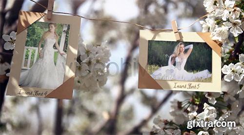 Videohive VideoHive Photos Hanging in an Orchard 4723047