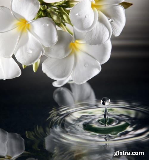 Amazing SS - Spa still life, 25xJPGs Amazing SS - Spa still life, 25xJPGs