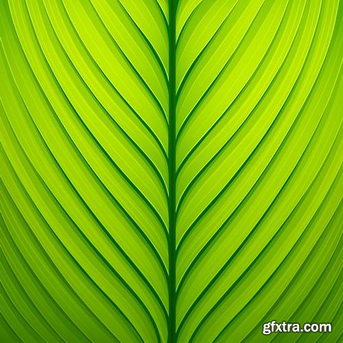 Green Leaves Background #3, 25xEPS