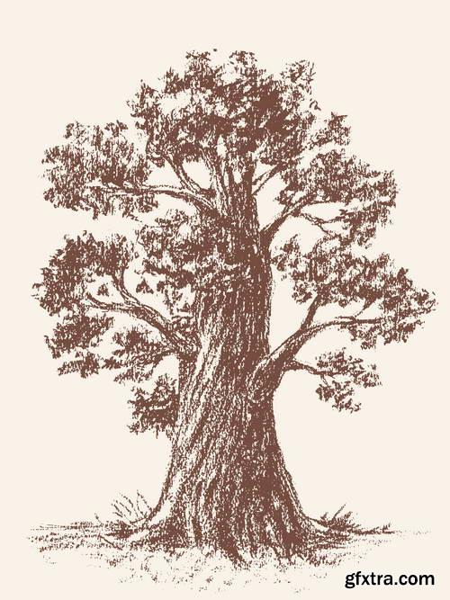 Hand Drawing Illustrations 17xEPS