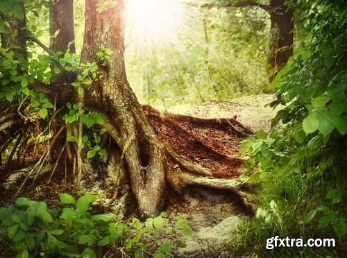 Fantasy Backdrop #1, 25xJPG