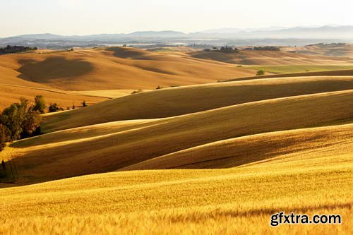 Toscana Landscapes I, 25xJPGs