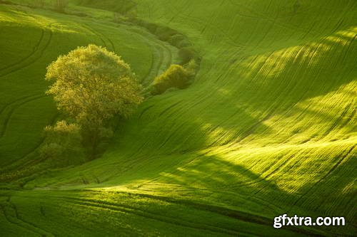 Toscana Landscapes II, 25xJPGs