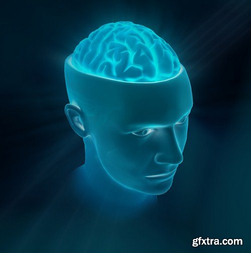 3D Human Head - 25 HQ Images