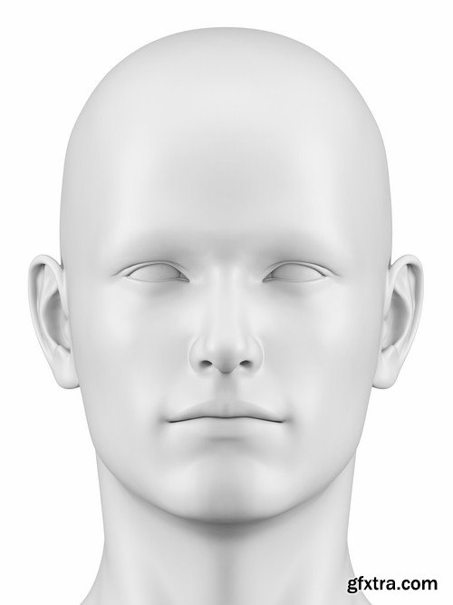 3D Human Head - 25 HQ Images