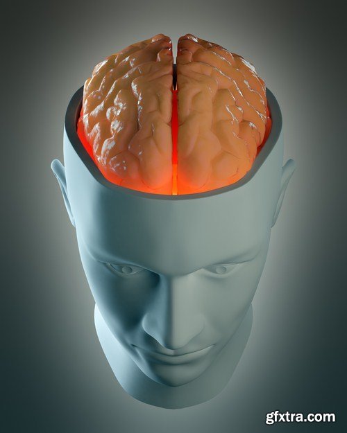 3D Human Head - 25 HQ Images