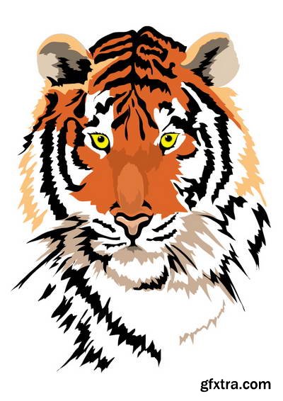 Tiger Collection 43xEPS